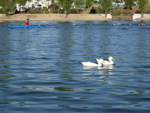 DSCN0513