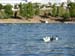 DSCN0515